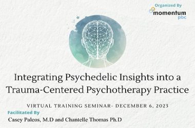Integrating Psychedelic Insights – Previously The Foundation 2023 OnDemand