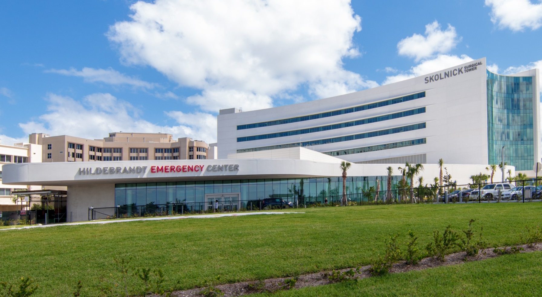 Landscape of Mount Sinai Medical Center
