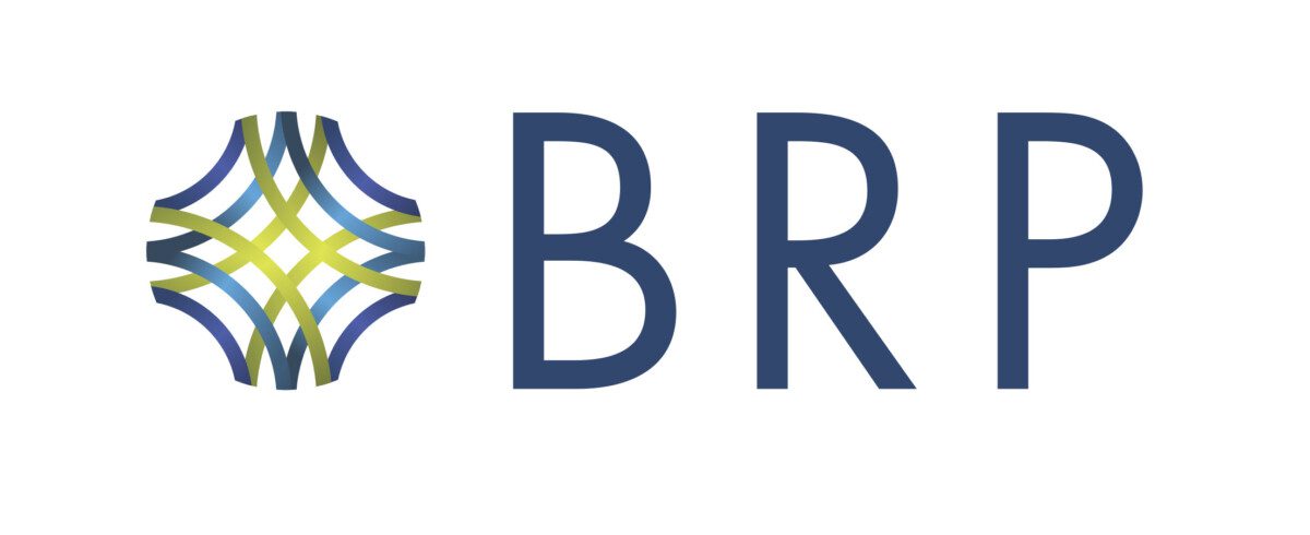 Logo of Baldwin Risk Partners